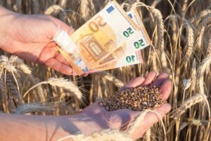Złoża surowców w Polsce – jakie bogactwa naturalne ma kraj